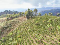 Nuestro territorio laboral CECOESPE