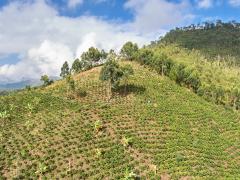 Nuestro territorio laboral CECOESPE