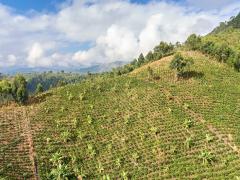 Nuestro territorio laboral CECOESPE