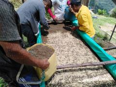 Café Sabor la Esperanza | CECOESPE