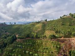 Nuestro territorio | CECOESPE