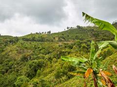 Nuestro territorio | CECOESPE