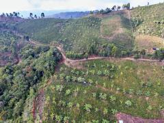 Nuestro territorio | CECOESPE