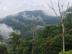 La Elvira | Nuestro territorio - CECOESPE