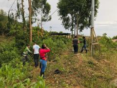 Plantación de árboles | CECOESPE