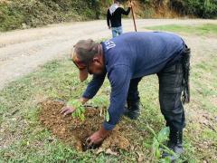 Actividad de Reforestación | CECOESPE
