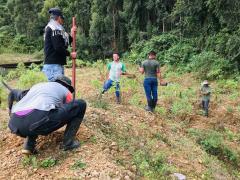 Actividad de Reforestación | CECOESPE