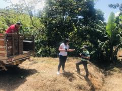 Actividad de Reforestación | CECOESPE
