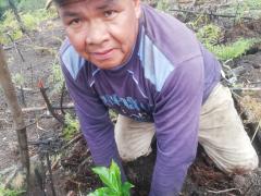 Siembra de café para nuestro Café Sabor La Esperanza | CECOESPE