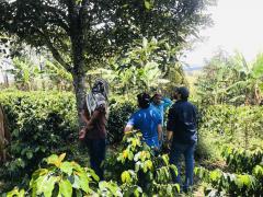 visita a predios de café 