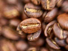 GRANO DE CAFÉ TOSTADO 