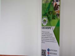 CUARTA ASAMBLEA ORDINARIA