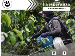 RECOLECCION LAS VERANERAS