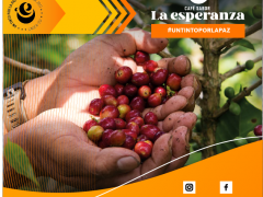 PRODUCCION LAS VERANERAS